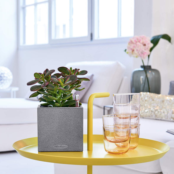 The Canto Stone 14 is the perfect eye-catching planter to show off your favourite greenery. The contrast of rustic stone and natural green has a modern effect and gives small plants the wow-factor. It fits perfectly on small shelves, sideboards or desks