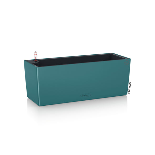 PRE ORDER: OCT. -  BALCONERA Color 50