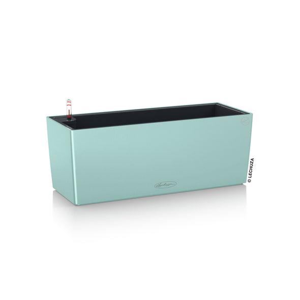 PRE ORDER: OCT. -  BALCONERA Color 50