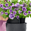 NIDO Cottage 28 Hanging Planter