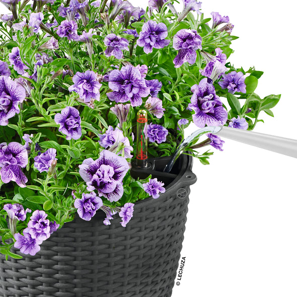 NIDO Cottage 28 Hanging Planter