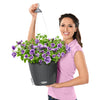 NIDO Cottage 28 Hanging Planter