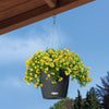 NIDO Cottage 28 Hanging Planter