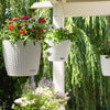 NIDO Cottage 28 Hanging Planter