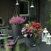 NIDO Cottage 28 Hanging Planter