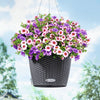 NIDO Cottage 28 Hanging Planter