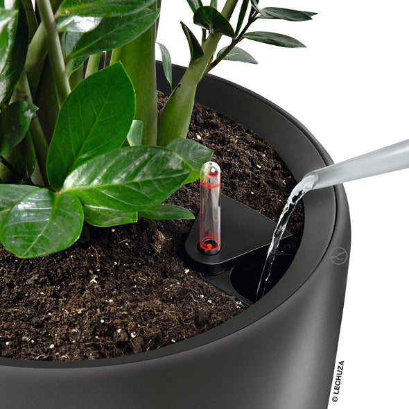 lechuza rondo self-watering planter RONDO 32 Premium – Lechuza Planters