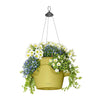 CASCADINO Hanging KIT ONLY