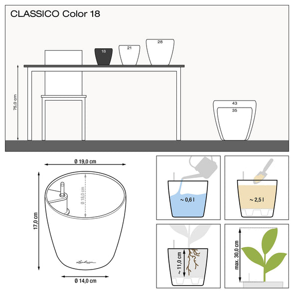 CLASSICO Color 18