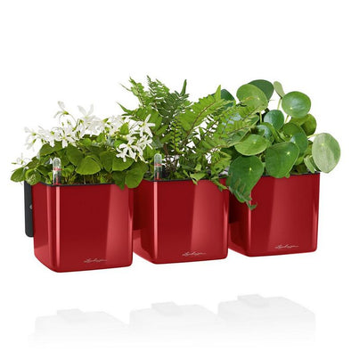 Glossy CUBE Triple Wall Planter Kit