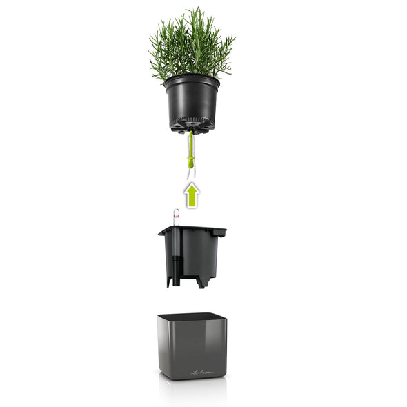 Glossy CUBE Triple Wall Planter Kit