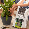 LECHUZA PON Plant Substrate