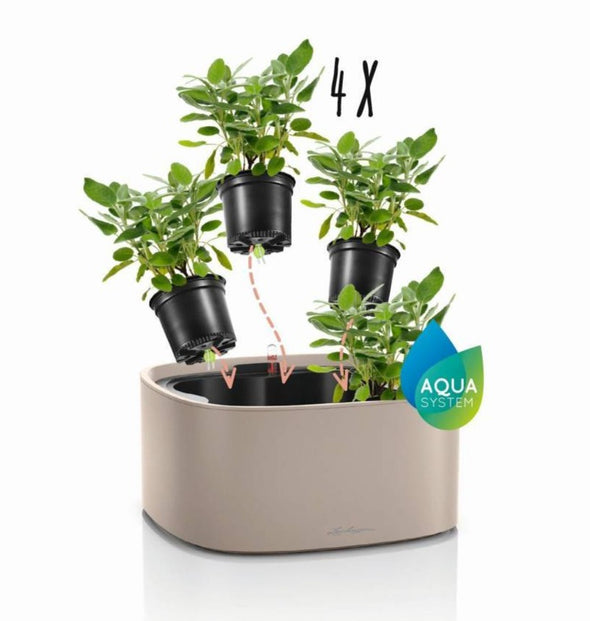 plant pots that stick to windows PILA Stick Planter – Lechuza Planters