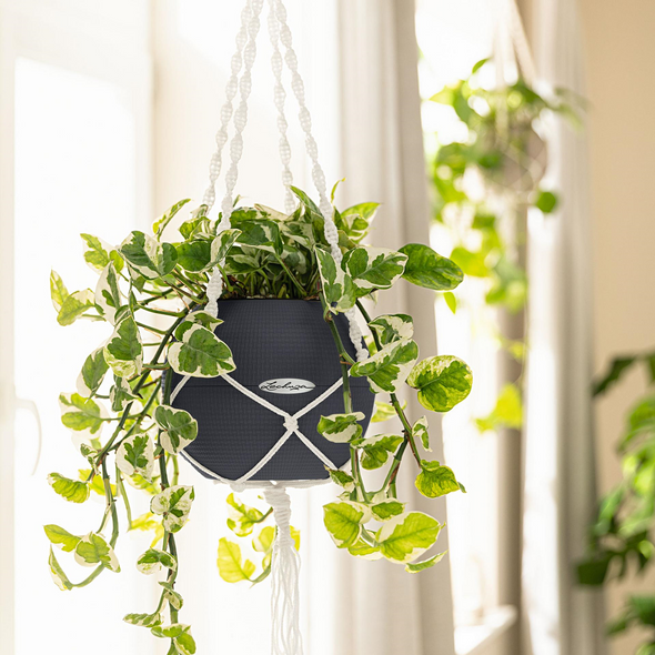 Macramé Hanger