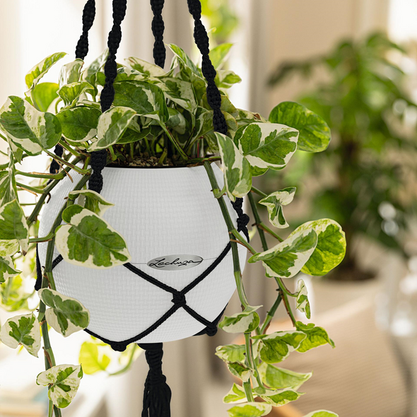 Macramé Hanger