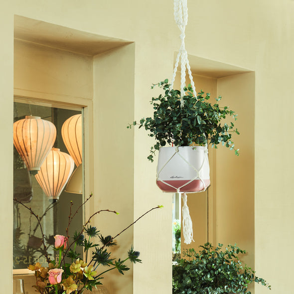 Macramé Hanger