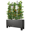 Trellis for TRIO 30