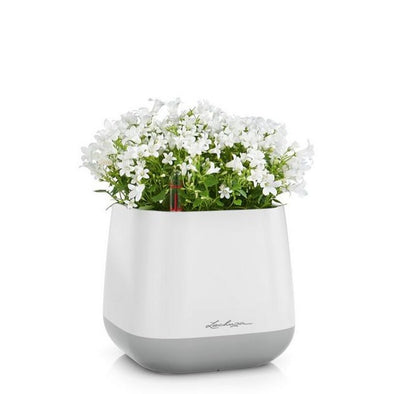 YULA Planter